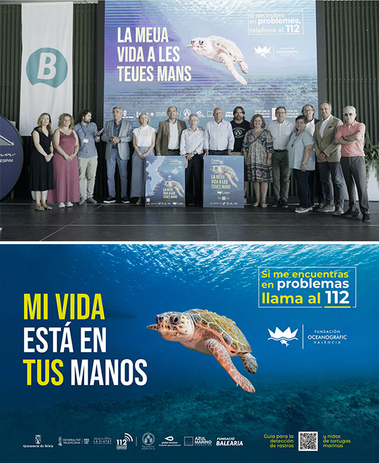 Doce municipios de Castelló se suman a la campaña “Tortugas en el Mediterráneo” de la Fundación Oceanogràfic