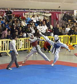 VII Open de Taekwondo de la Comunitat Valenciana