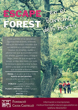 Escape Forest en el Barranc dels Horts de la Fundación Caja Castellón