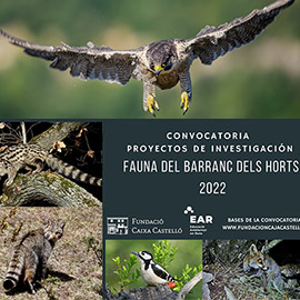 Convocatoria de proyectos de investigación fauna del Barranc dels Horts 2022
